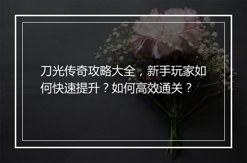 刀光传奇攻略大全，新手玩家如何快速提升？如何高效通关？