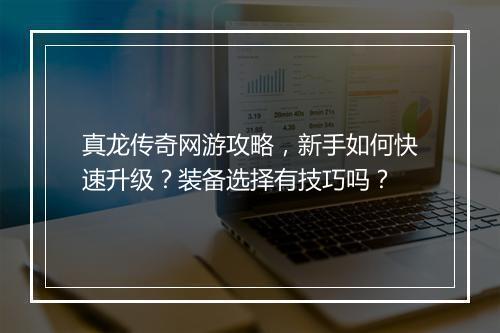 真龙传奇网游攻略，新手如何快速升级？装备选择有技巧吗？