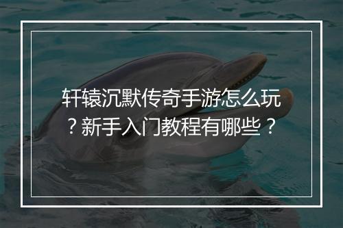轩辕沉默传奇手游怎么玩？新手入门教程有哪些？