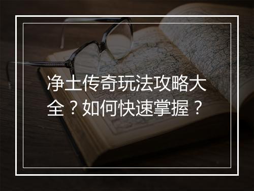 净土传奇玩法攻略大全？如何快速掌握？