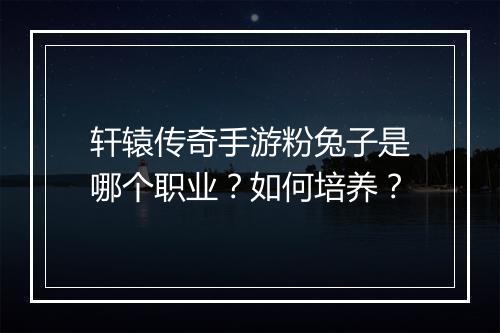 轩辕传奇手游粉兔子是哪个职业？如何培养？