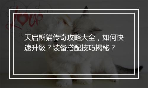 天启熊猫传奇攻略大全，如何快速升级？装备搭配技巧揭秘？