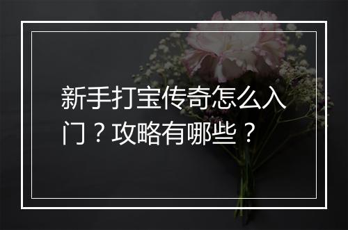新手打宝传奇怎么入门？攻略有哪些？