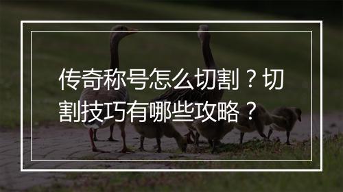 传奇称号怎么切割？切割技巧有哪些攻略？