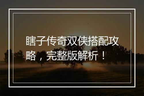 瞎子传奇双侠搭配攻略，完整版解析！