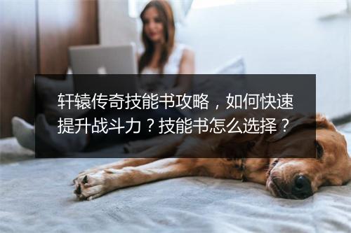 轩辕传奇技能书攻略，如何快速提升战斗力？技能书怎么选择？