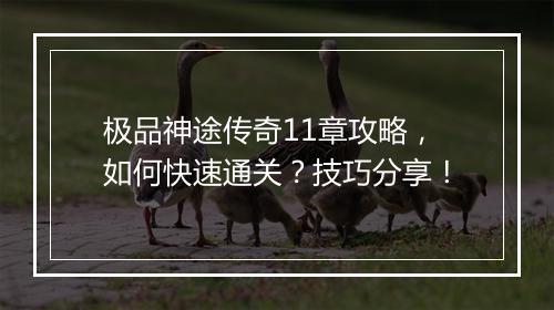 极品神途传奇11章攻略，如何快速通关？技巧分享！