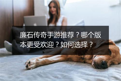 廉石传奇手游推荐？哪个版本更受欢迎？如何选择？