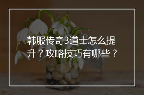 韩服传奇3道士怎么提升？攻略技巧有哪些？