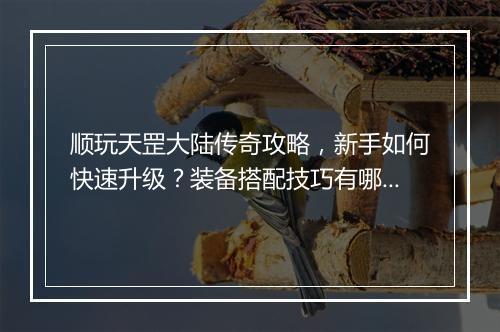 顺玩天罡大陆传奇攻略，新手如何快速升级？装备搭配技巧有哪些？
