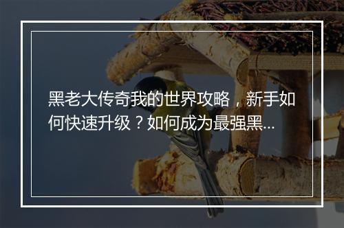 黑老大传奇我的世界攻略，新手如何快速升级？如何成为最强黑老大？