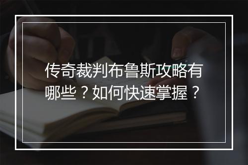 传奇裁判布鲁斯攻略有哪些？如何快速掌握？