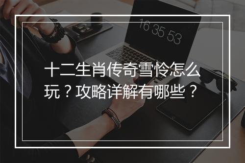 十二生肖传奇雪怜怎么玩？攻略详解有哪些？