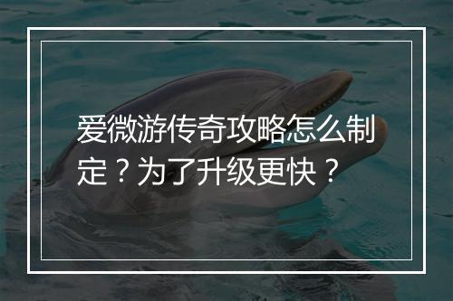 爱微游传奇攻略怎么制定？为了升级更快？