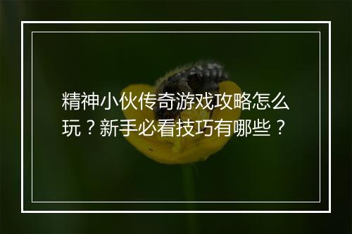 精神小伙传奇游戏攻略怎么玩？新手必看技巧有哪些？