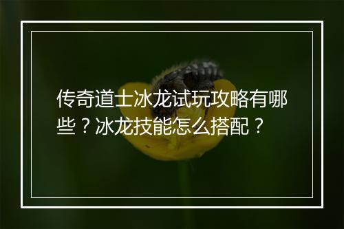 传奇道士冰龙试玩攻略有哪些？冰龙技能怎么搭配？