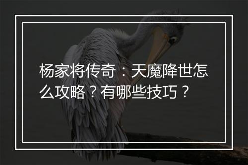 杨家将传奇：天魔降世怎么攻略？有哪些技巧？