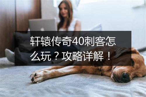 轩辕传奇40刺客怎么玩？攻略详解！