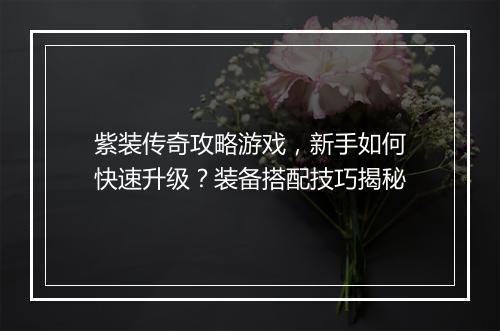 紫装传奇攻略游戏，新手如何快速升级？装备搭配技巧揭秘