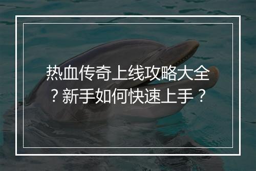 热血传奇上线攻略大全？新手如何快速上手？