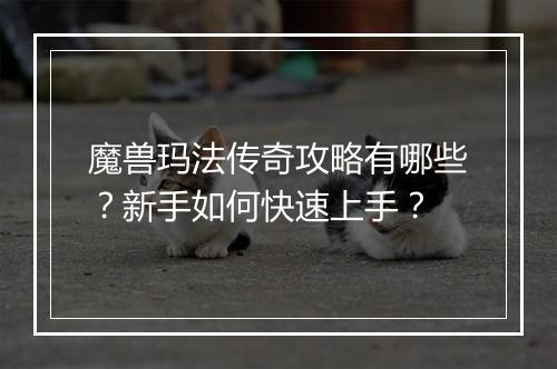 魔兽玛法传奇攻略有哪些？新手如何快速上手？