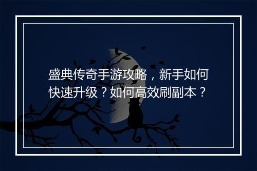 盛典传奇手游攻略，新手如何快速升级？如何高效刷副本？