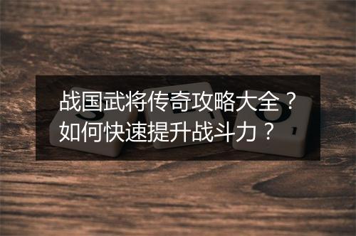 战国武将传奇攻略大全？如何快速提升战斗力？