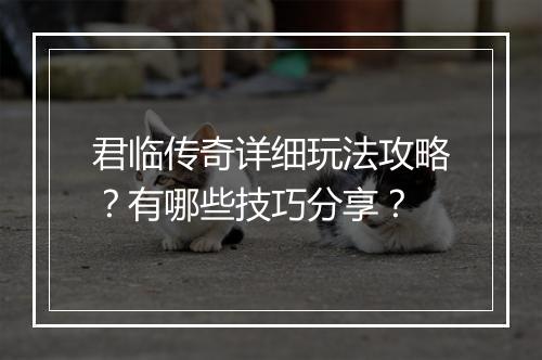 君临传奇详细玩法攻略？有哪些技巧分享？