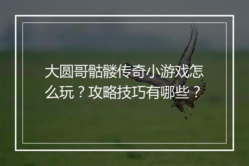 大圆哥骷髅传奇小游戏怎么玩？攻略技巧有哪些？