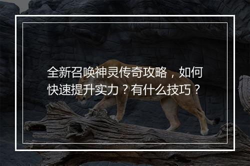 全新召唤神灵传奇攻略，如何快速提升实力？有什么技巧？
