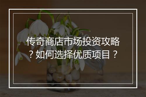 传奇商店市场投资攻略？如何选择优质项目？