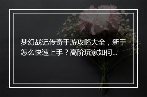 梦幻战记传奇手游攻略大全，新手怎么快速上手？高阶玩家如何提升？