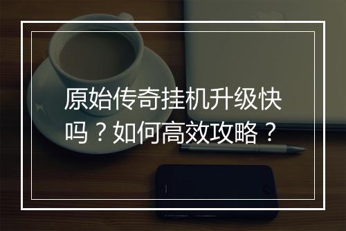 原始传奇挂机升级快吗？如何高效攻略？