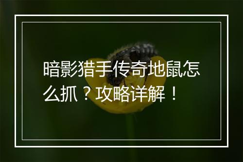 暗影猎手传奇地鼠怎么抓？攻略详解！