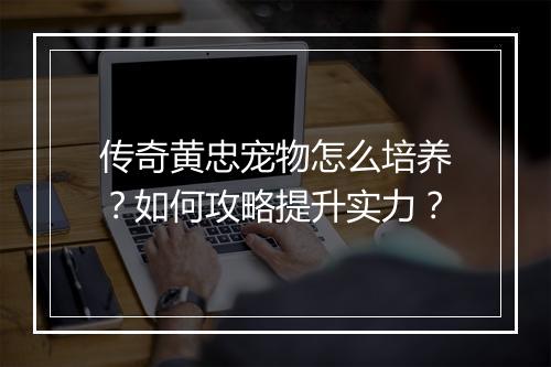 传奇黄忠宠物怎么培养？如何攻略提升实力？