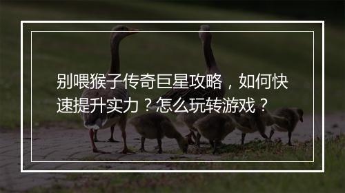 别喂猴子传奇巨星攻略，如何快速提升实力？怎么玩转游戏？