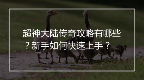 超神大陆传奇攻略有哪些？新手如何快速上手？