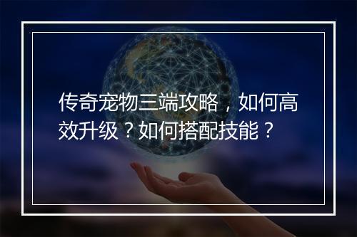 传奇宠物三端攻略，如何高效升级？如何搭配技能？