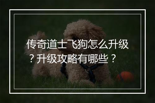 传奇道士飞狗怎么升级？升级攻略有哪些？
