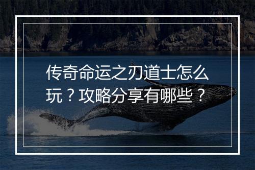 传奇命运之刃道士怎么玩？攻略分享有哪些？