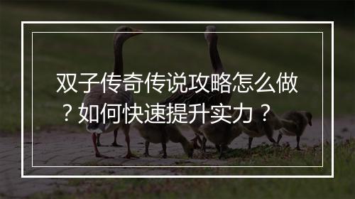 双子传奇传说攻略怎么做？如何快速提升实力？