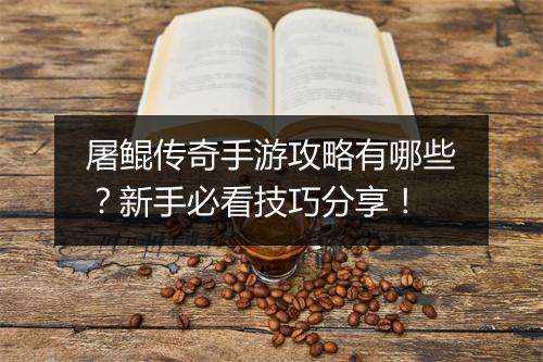 屠鲲传奇手游攻略有哪些？新手必看技巧分享！
