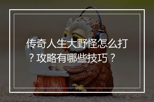 传奇人生大野怪怎么打？攻略有哪些技巧？