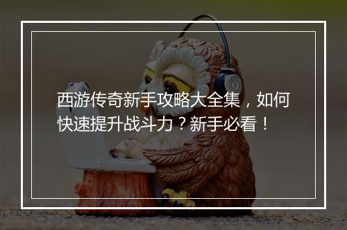 西游传奇新手攻略大全集，如何快速提升战斗力？新手必看！