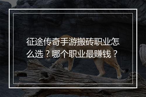 征途传奇手游搬砖职业怎么选？哪个职业最赚钱？