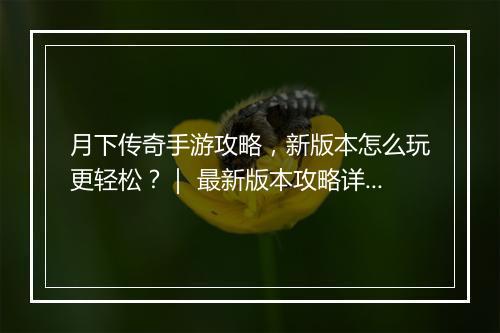 月下传奇手游攻略，新版本怎么玩更轻松？｜ 最新版本攻略详解