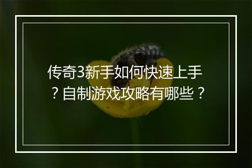 传奇3新手如何快速上手？自制游戏攻略有哪些？