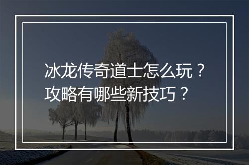 冰龙传奇道士怎么玩？攻略有哪些新技巧？