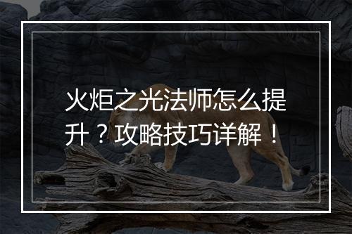火炬之光法师怎么提升？攻略技巧详解！