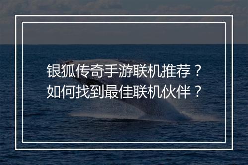 银狐传奇手游联机推荐？如何找到最佳联机伙伴？